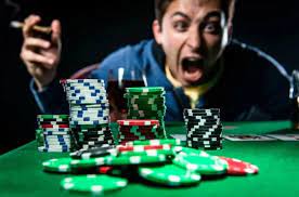 Вход на официальный сайт Kaktuz Casino